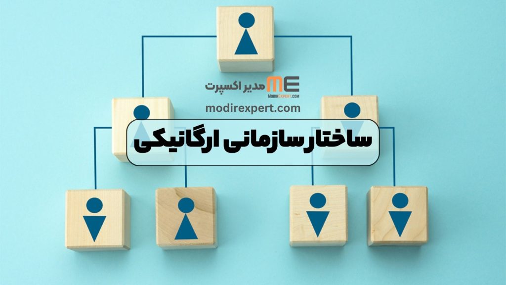 ساختار سازمانی ارگانیکی