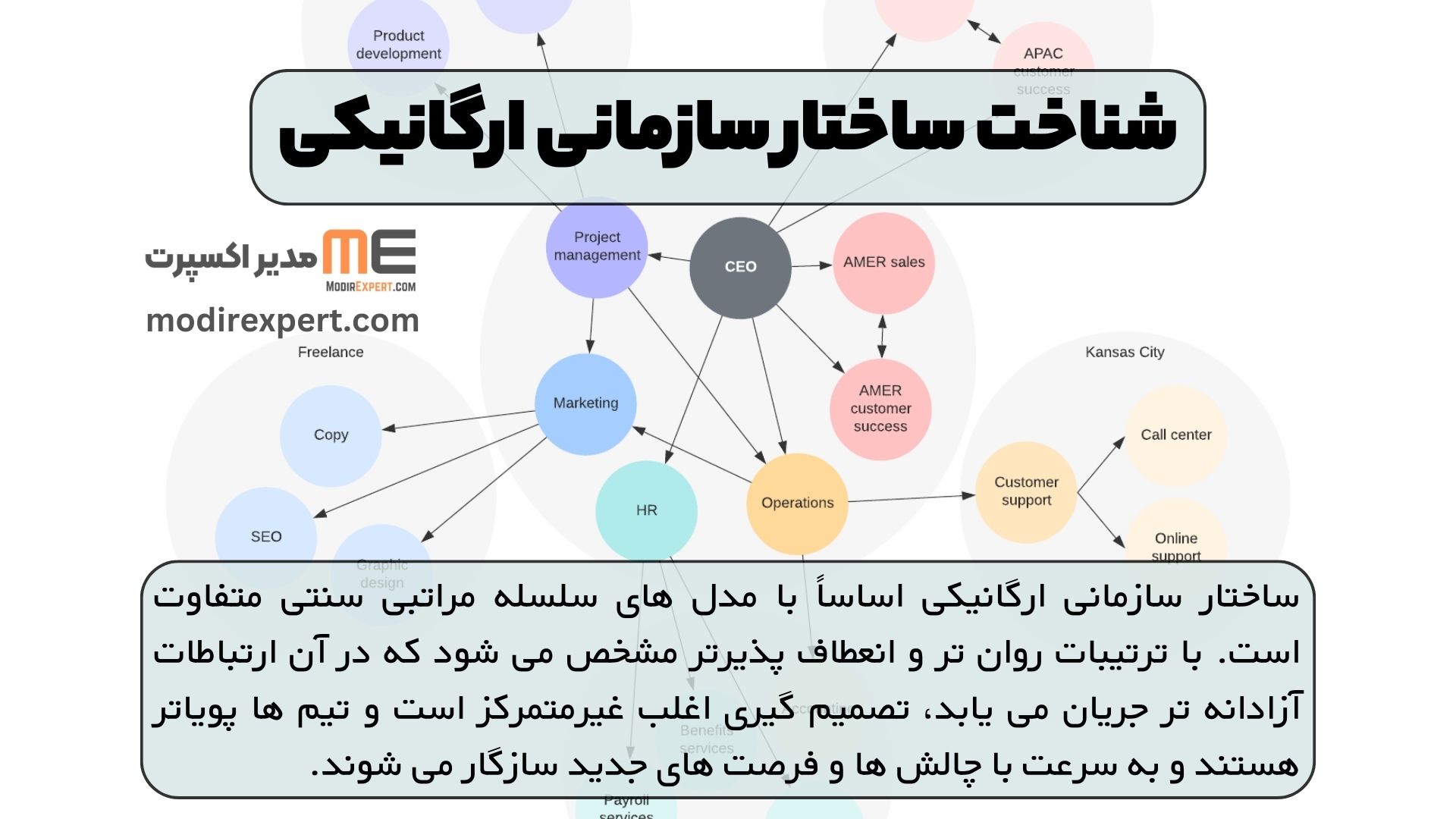 شناخت ساختار سازمانی ارگانیکی