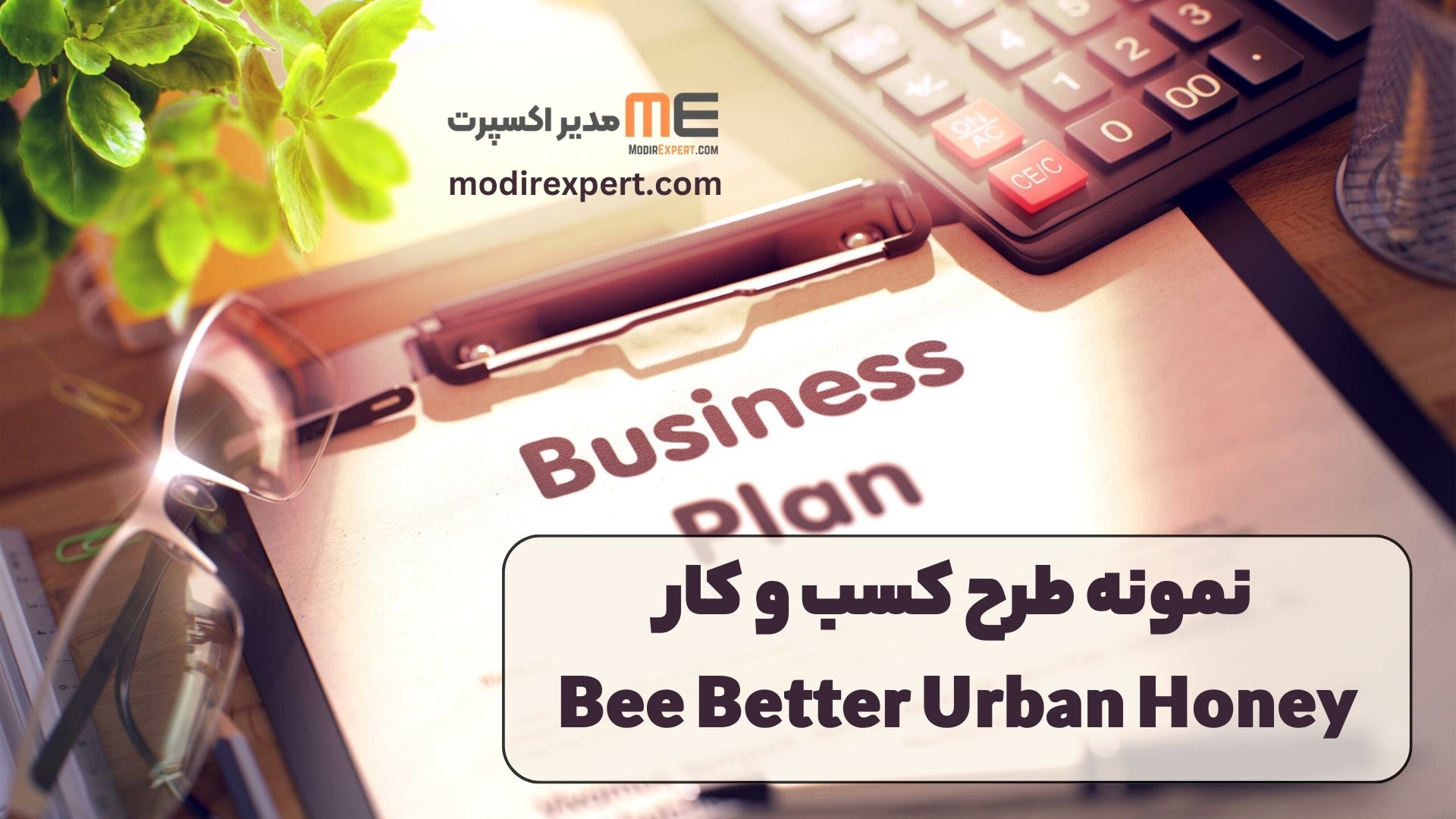 نمونه طرح کسب و کار Bee Better Urban Honey
