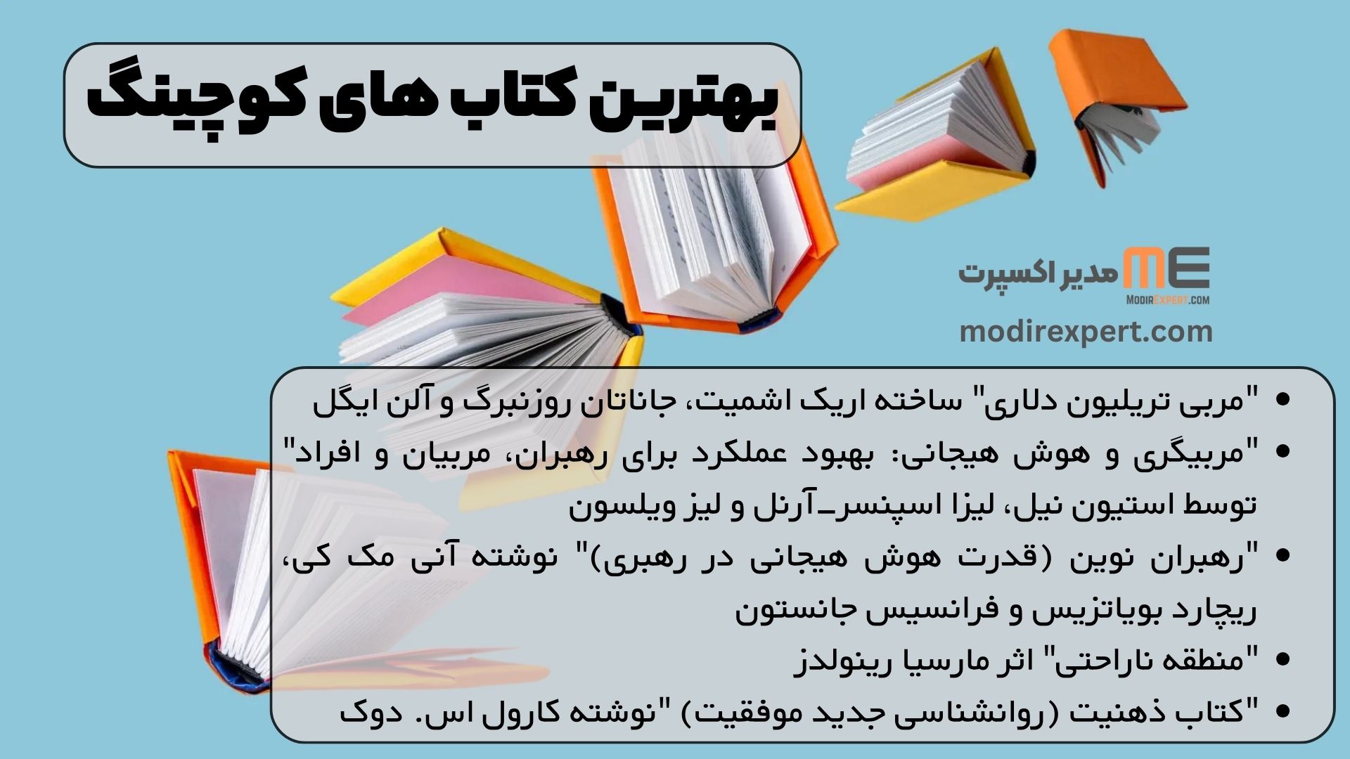«مربی تریلیون دلاری» ساخته اریک اشمیت، جاناتان روزنبرگ و آلن ایگل