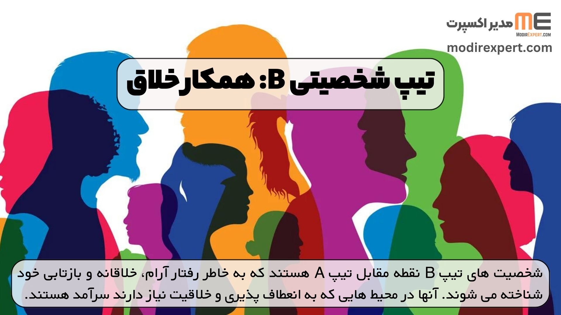 تیپ شخصیتی B: همکار خلاق