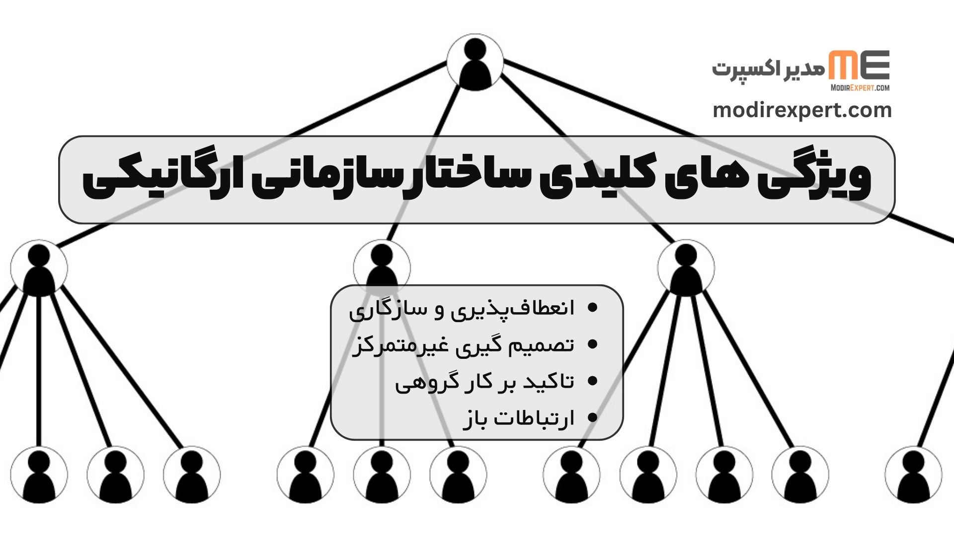 ویژگی های کلیدی ساختار سازمانی ارگانیکی