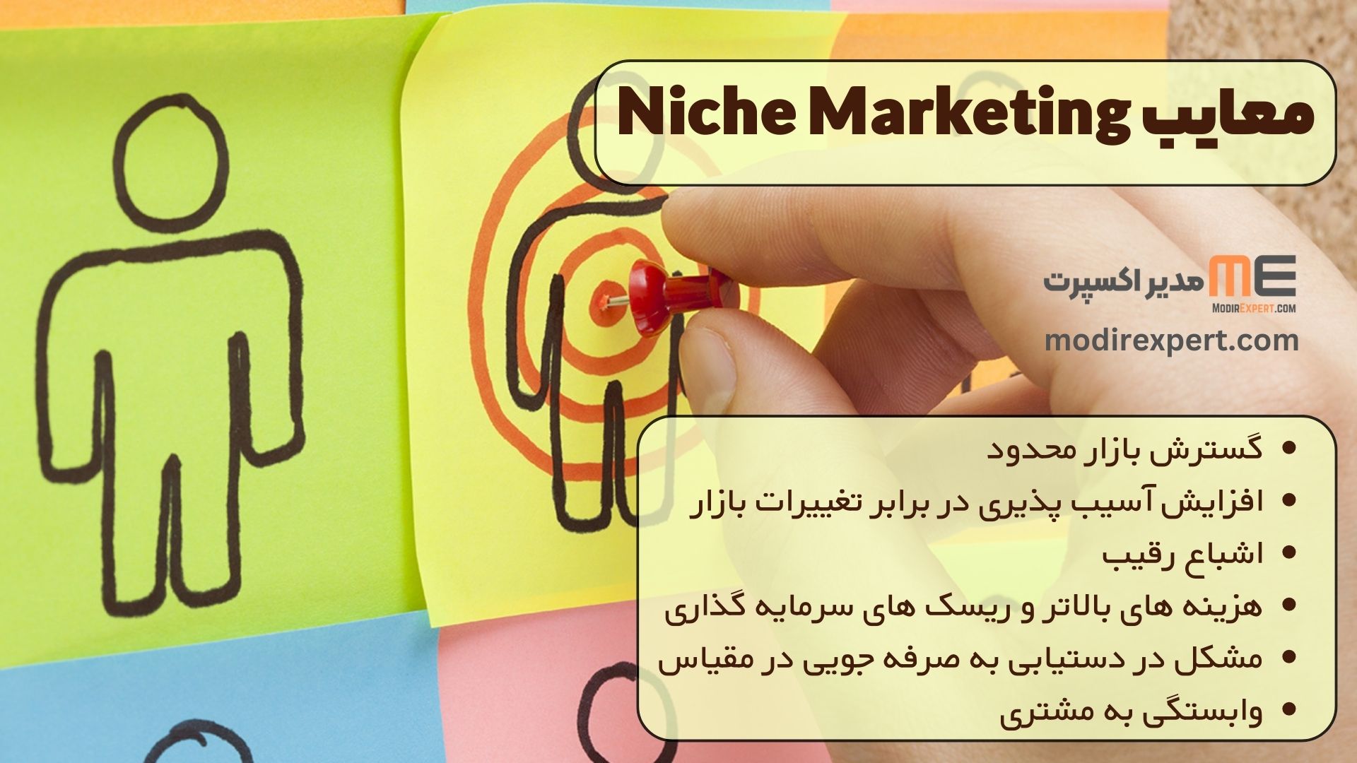 معایب Niche Marketing