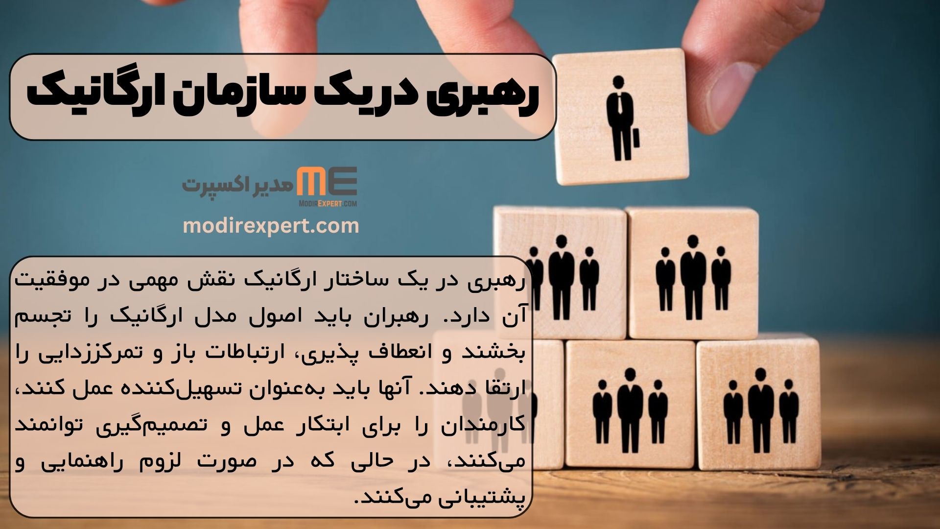 رهبری در یک سازمان ارگانیک