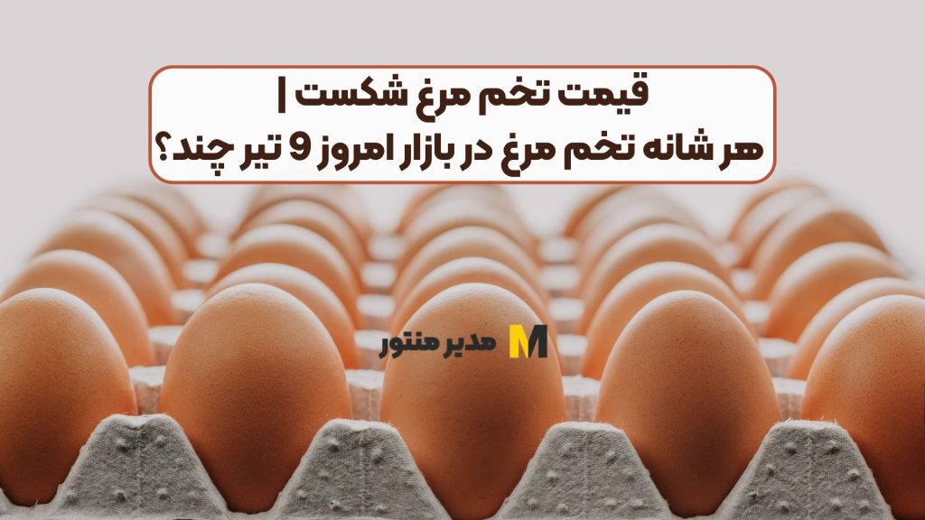 قیمت تخم مرغ شکست | هر شانه تخم مرغ در بازار امروز 9 تیر چند؟