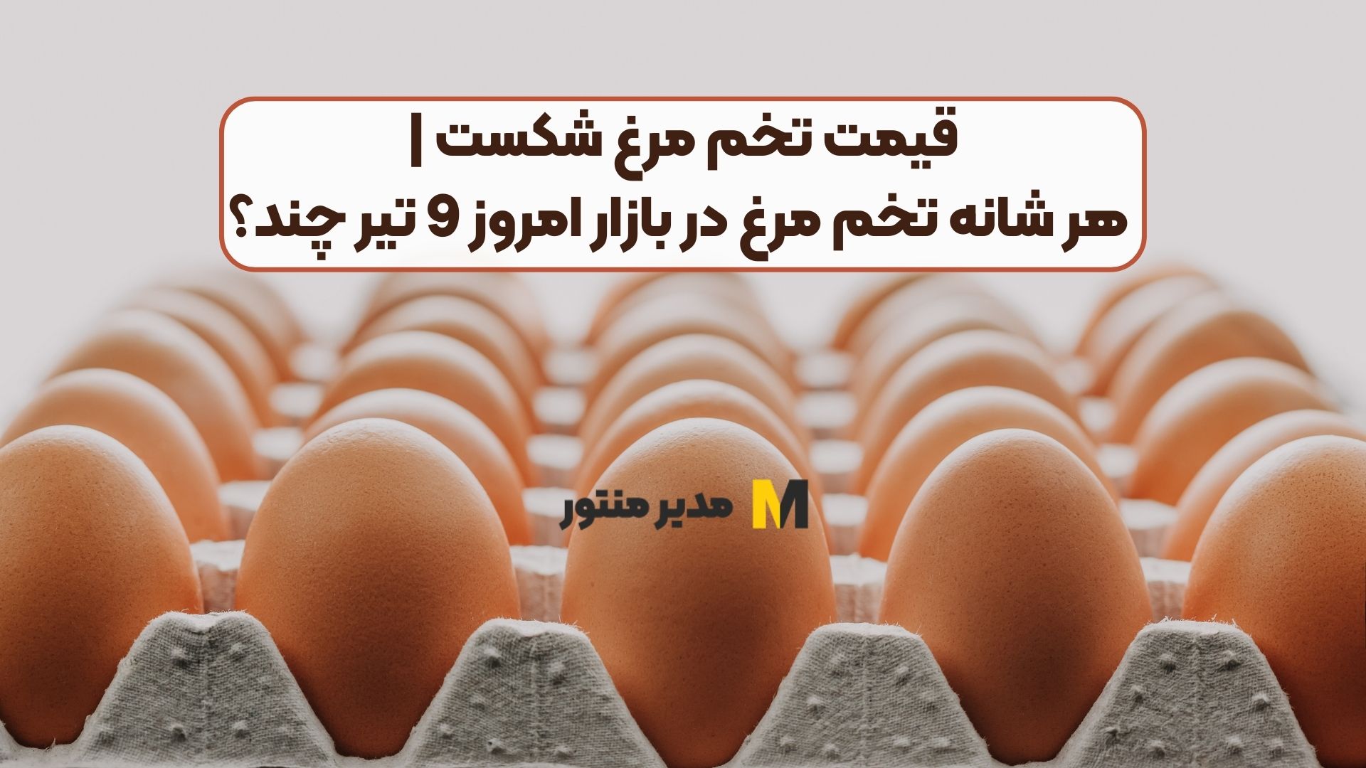 قیمت تخم مرغ شکست | هر شانه تخم مرغ در بازار امروز 9 تیر چند؟