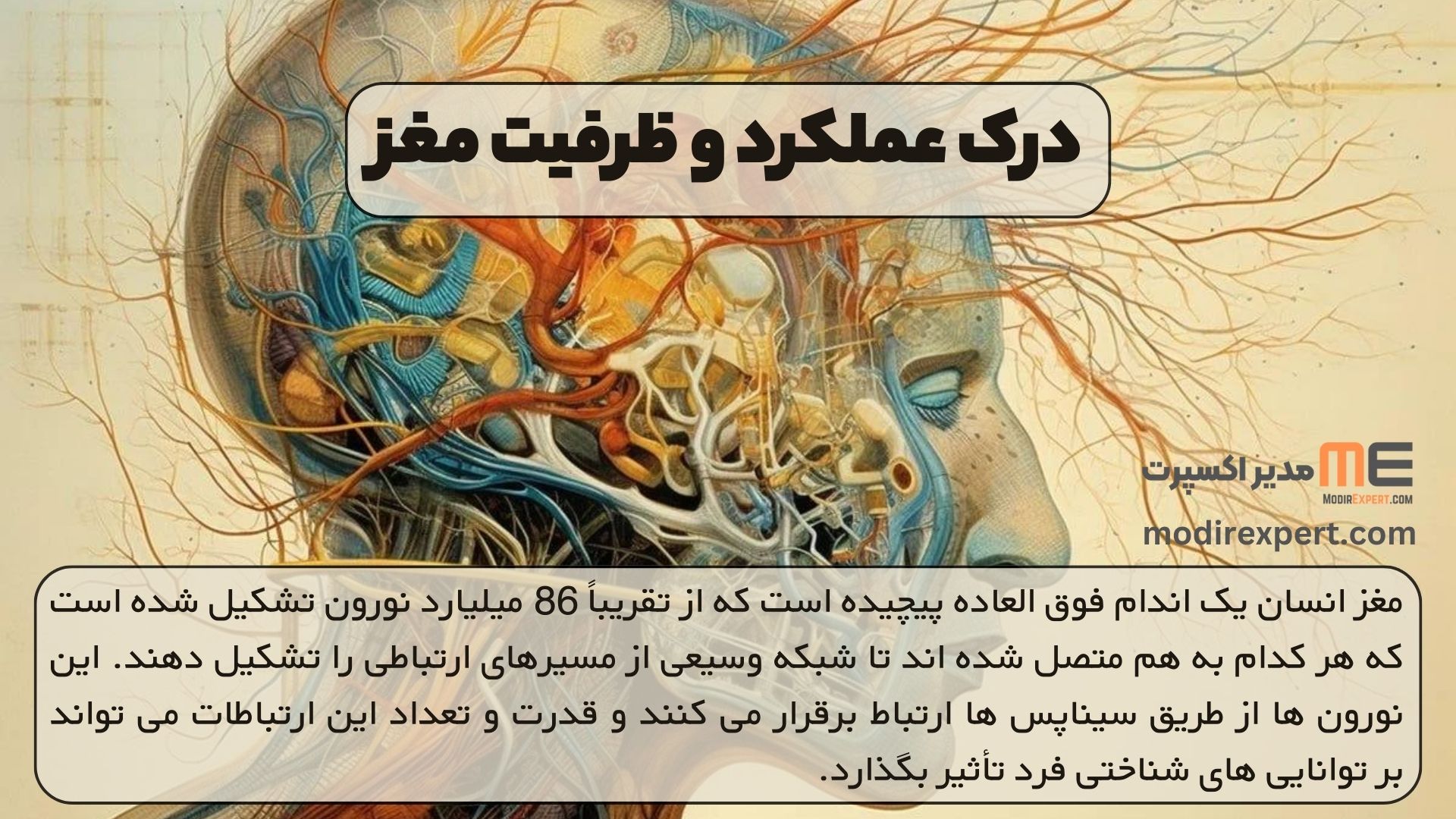 درک عملکرد و ظرفیت مغز