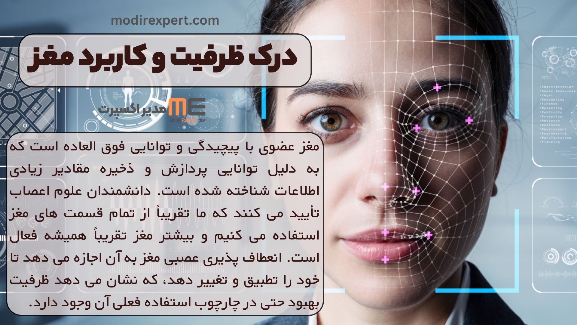 درک ظرفیت و کاربرد مغز