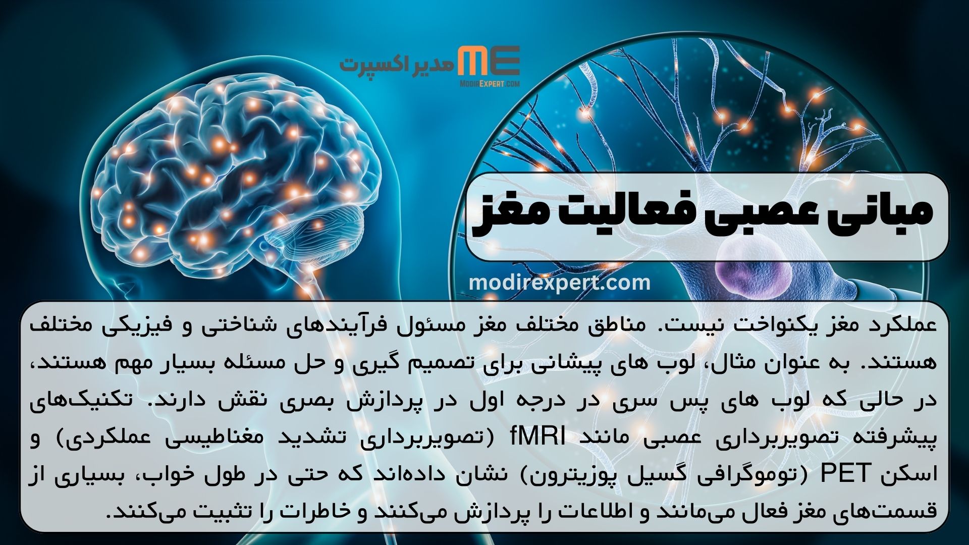 مبانی عصبی فعالیت مغز