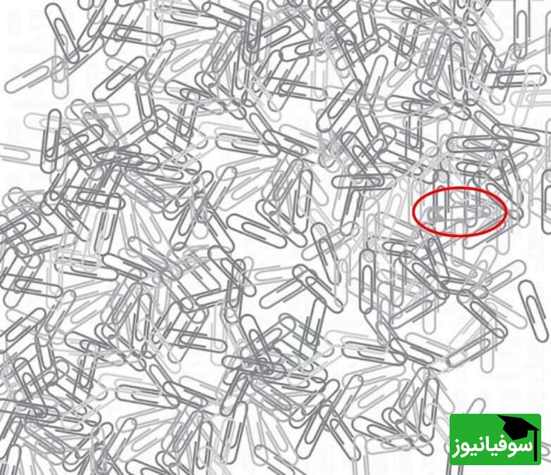 خطای دید/ حتی افرادی با ضریب هوشی بالا نمی‌توانند «سنجاق قفلی» را در میان «گیره‌های کاغذ» پیدا کنند