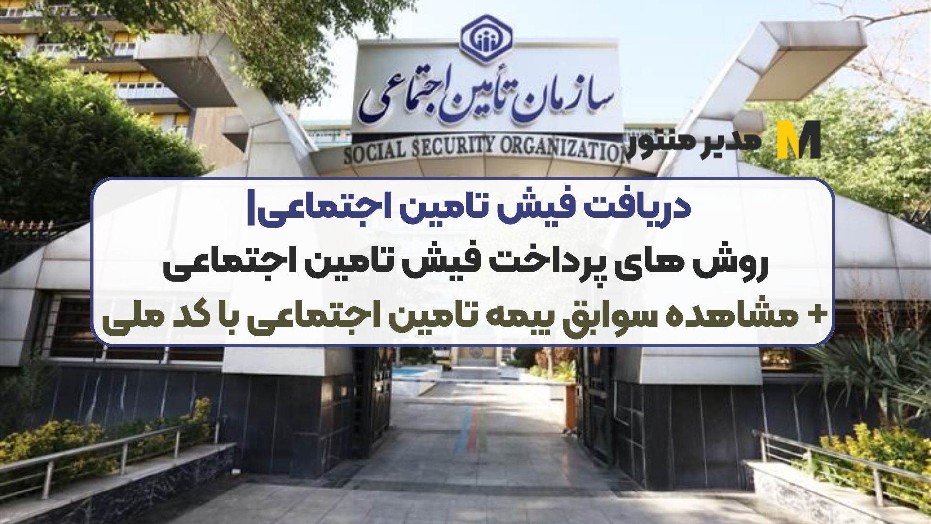 دریافت فیش تامین اجتماعی| روش‌ های پرداخت فیش تامین اجتماعی+ مشاهده سوابق بیمه تامین اجتماعی با کد ملی