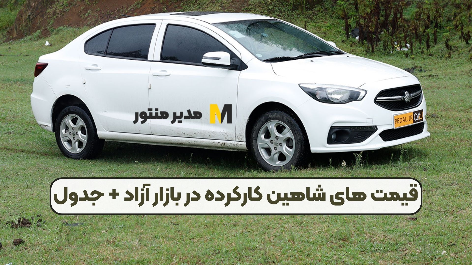 قیمت های شاهین کارکرده در بازار آزاد + جدول