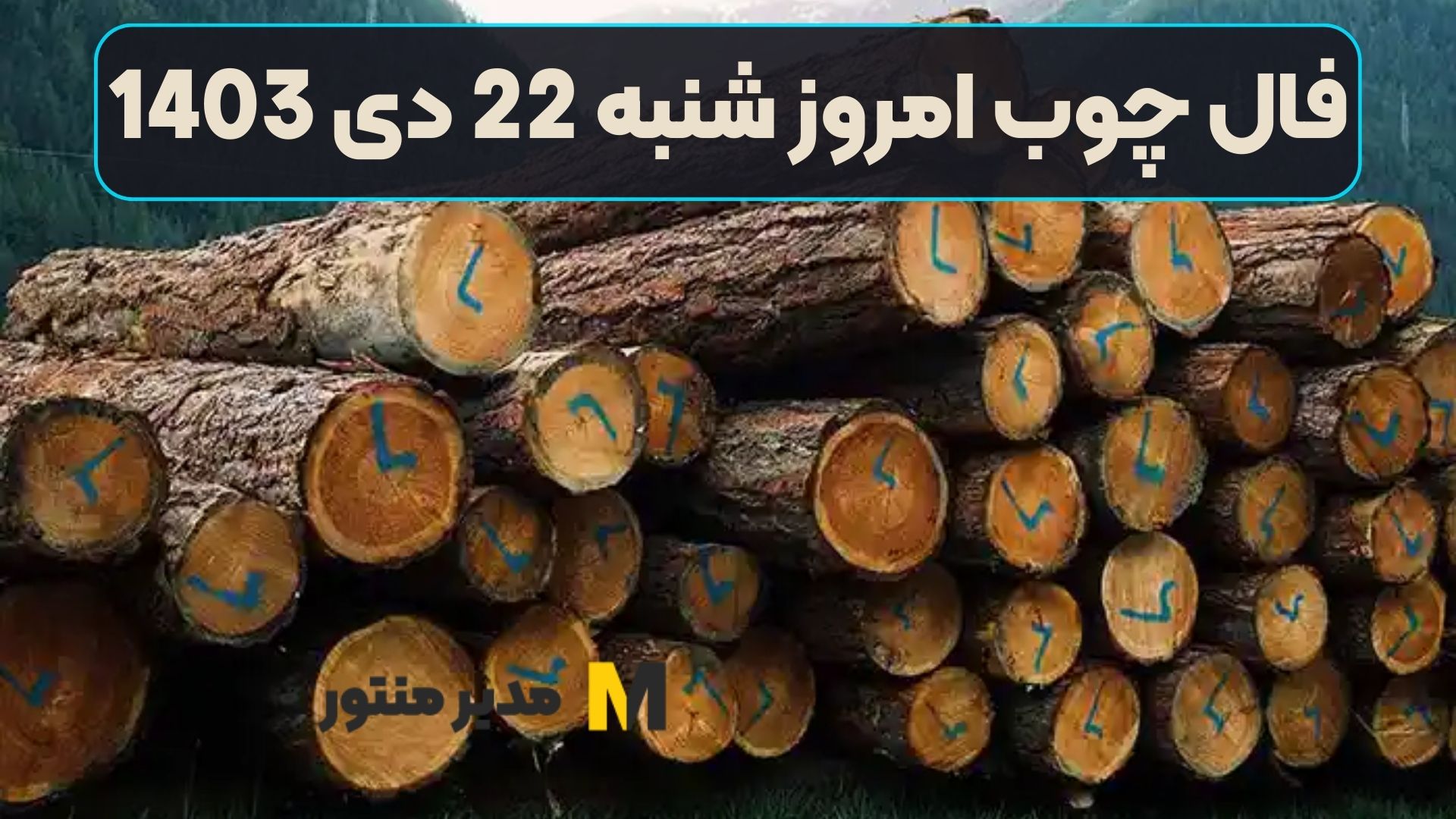 فال چوب امروز شنبه 22 دی 1403 (طالع نیک)