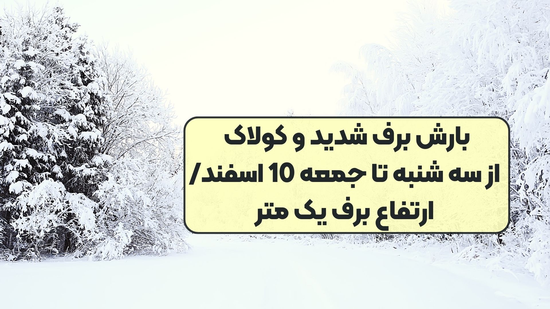 بارش برف شدید و کولاک از سه شنبه تا جمعه 10 اسفند/ ارتفاع برف یک متر