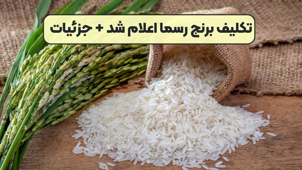 تکلیف برنج رسما اعلام شد + جزئیات