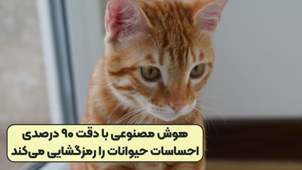 هوش مصنوعی با دقت ۹۰ درصدی احساسات حیوانات را رمزگشایی می‌کند